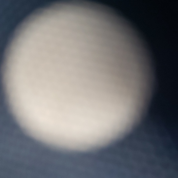 Meet your Posher, Anna - Picture 1 of 1